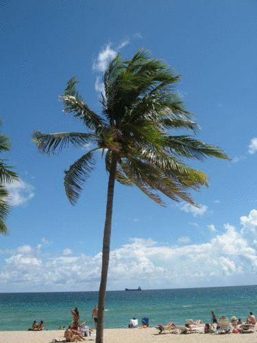 Seaside Motel Fort Lauderdale Kültér fotó